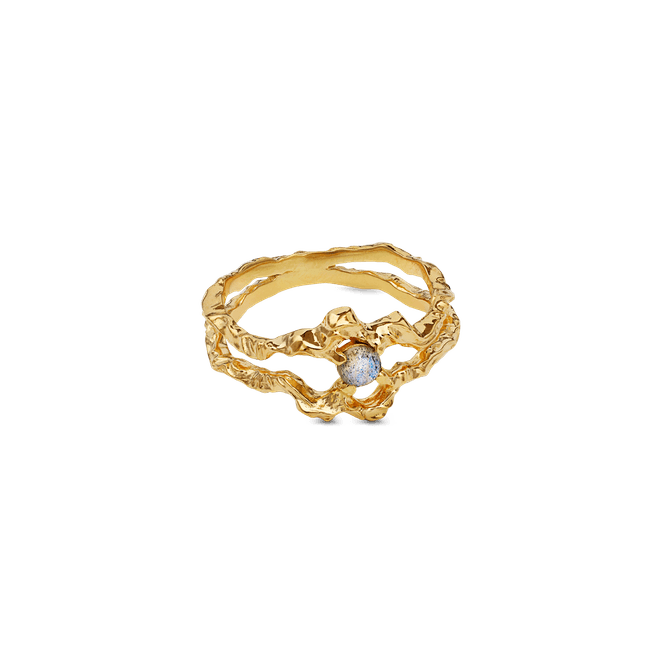 Hovedbilde Shelly Ring