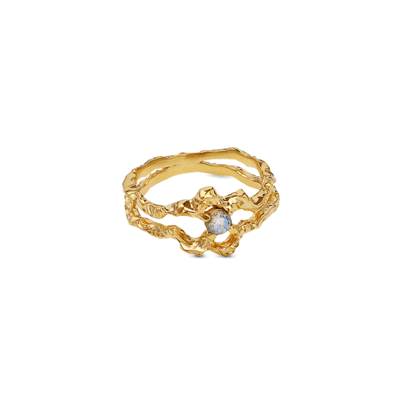 Shelly Ring