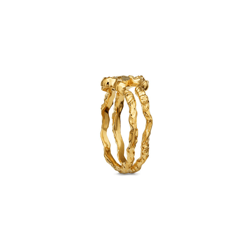Shelly Ring