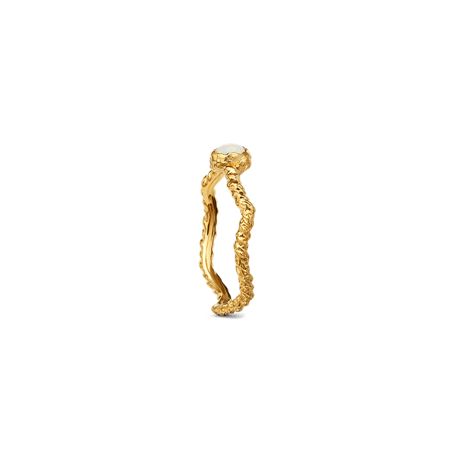 Hovedbilde Lisa Ring