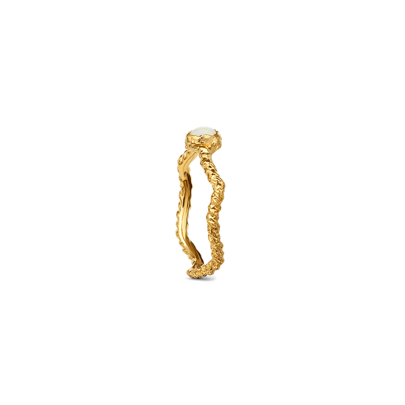 Lisa Ring