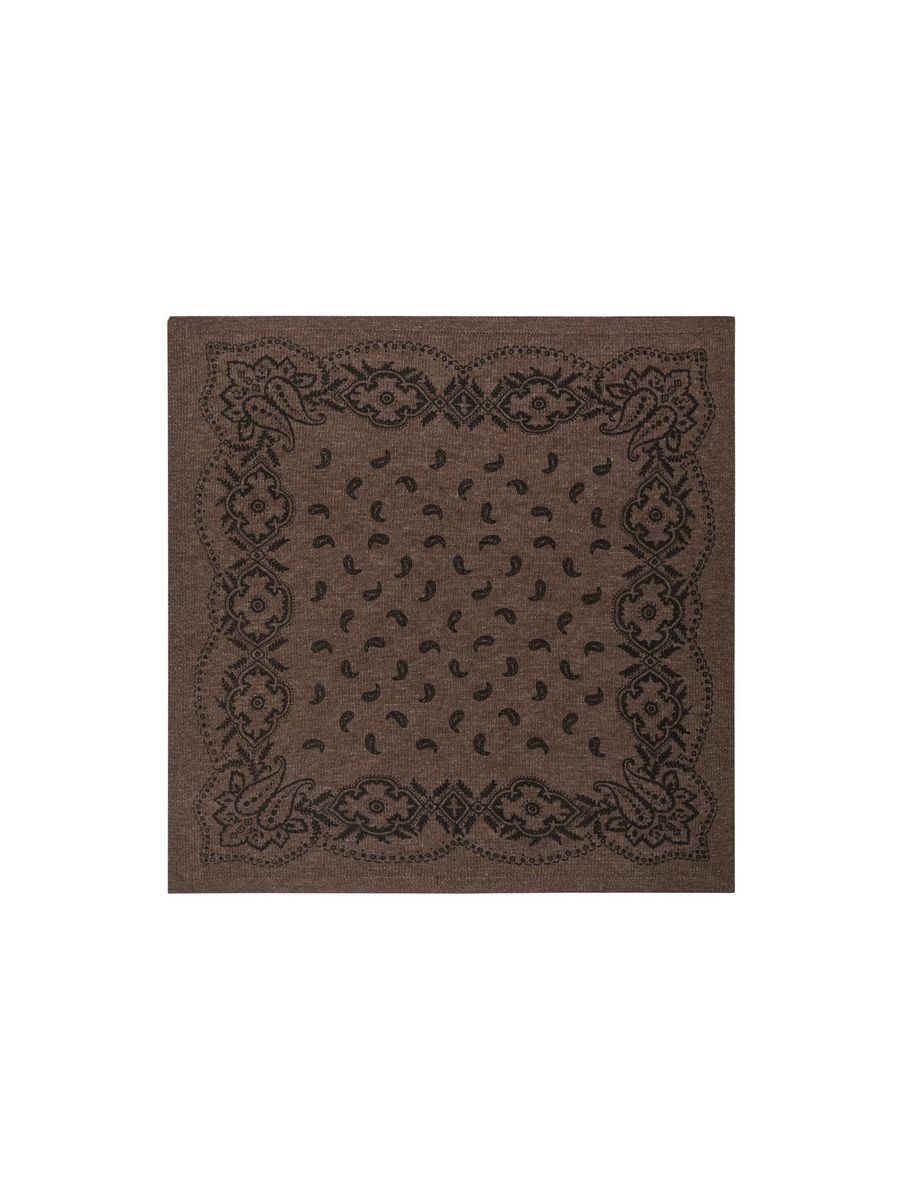 Adelina Paisley Scarf Brown